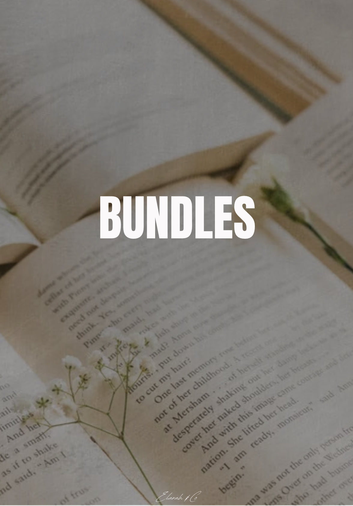 Bundles
